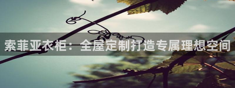 网上bb电子为什么那么假的