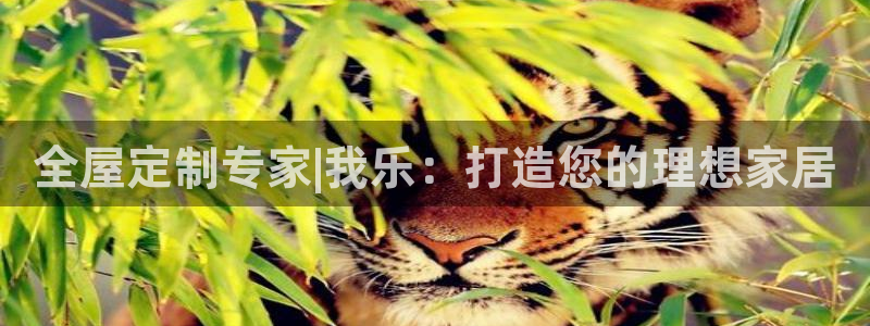 BB电子游戏钱得钱