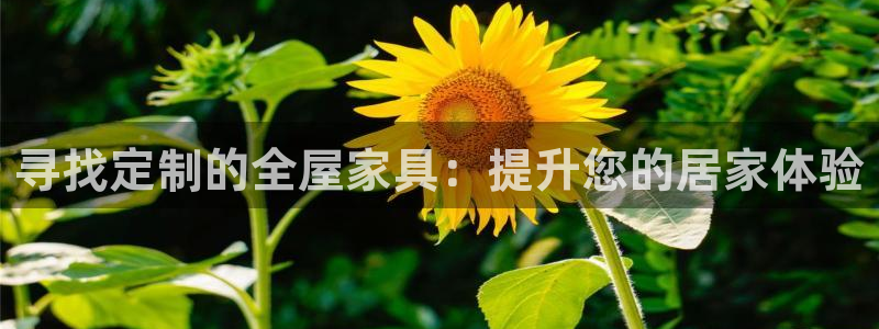 bb电子哪个平台好