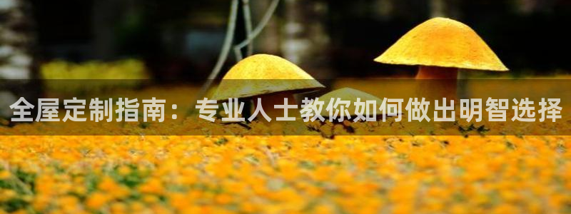 BB电子麻将胡了