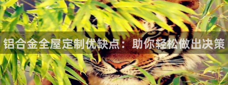 bb电子哪个游戏好赢钱一点
