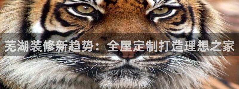 bb电子哪个平台好些