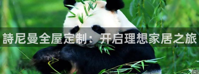 bb电子哪个平台好一点