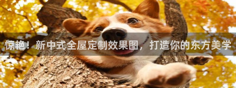 bb电子游戏作弊