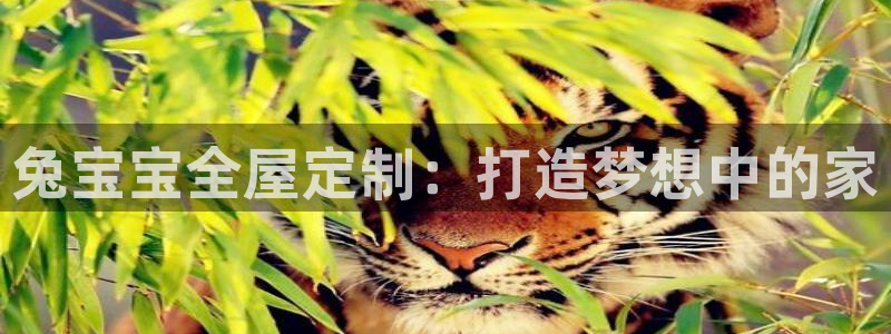 bb电子糖果玩法技巧
