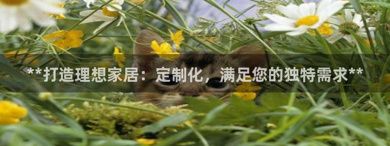bb电子官网登录