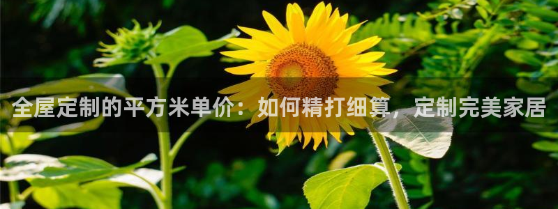 网上bb电子为什么那么假的