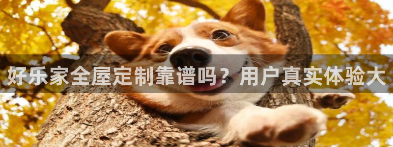 bb电子哪个平台好用点