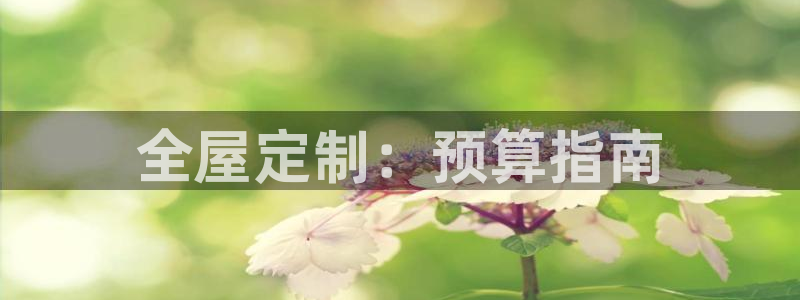 BB电子骗局