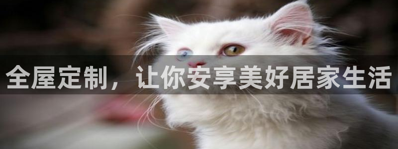 bb电子糖果玩法技巧