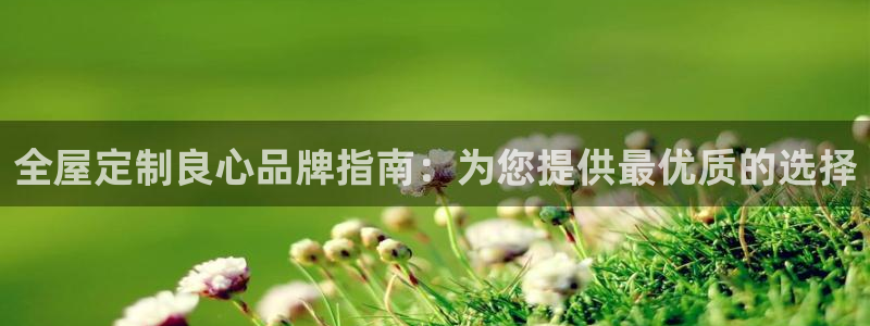 BB电子麻将胡了