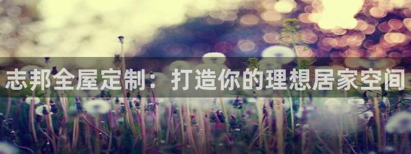 bb电子怎么赢