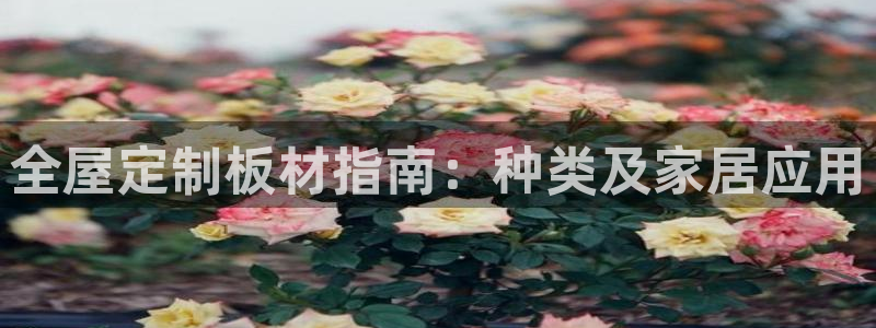 bb电子哪个平台好点