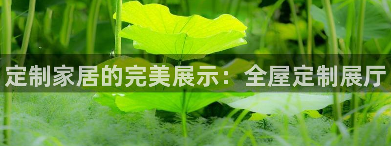 bb电子什么游戏好赢