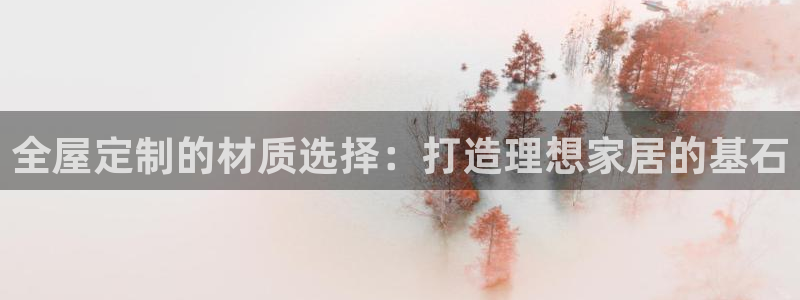 bb电子哪个平台好啊