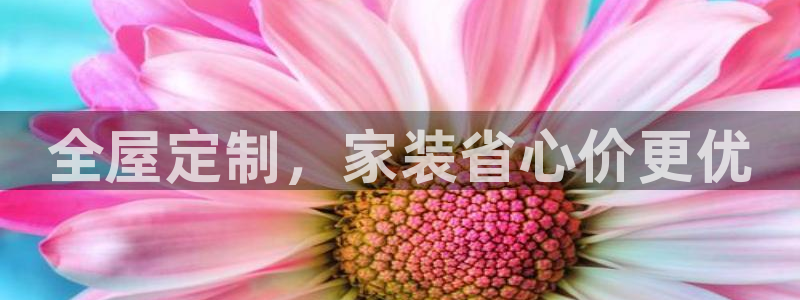 bb电子怎么英语怎么说