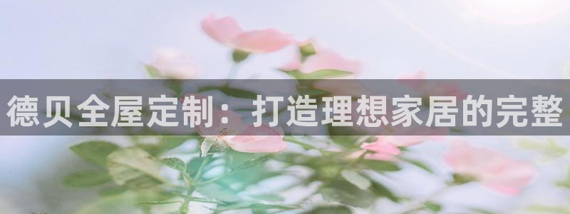 bb电子哪个平台好点