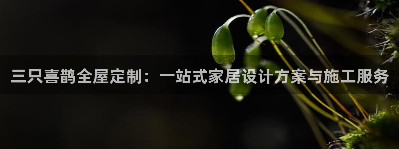 bb电子游戏娱乐平台