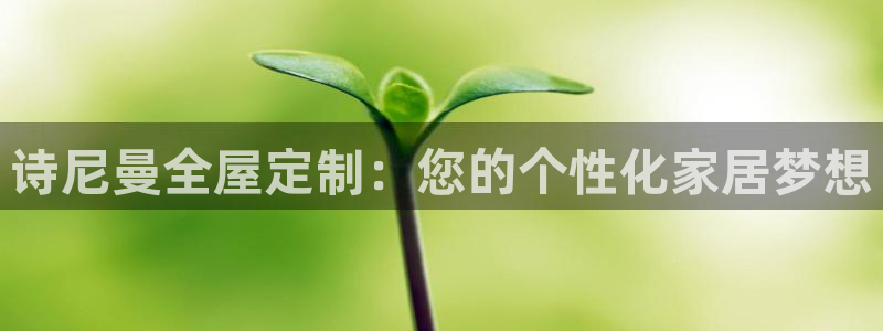 bb电子哪个平台好些