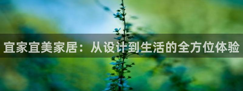 网上bb电子为什么那么假