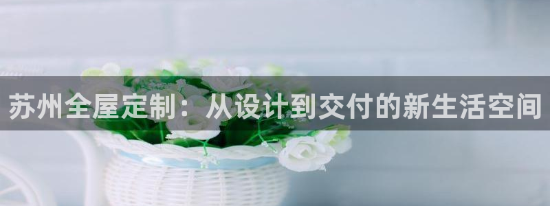 bb电子哪个平台好用一点