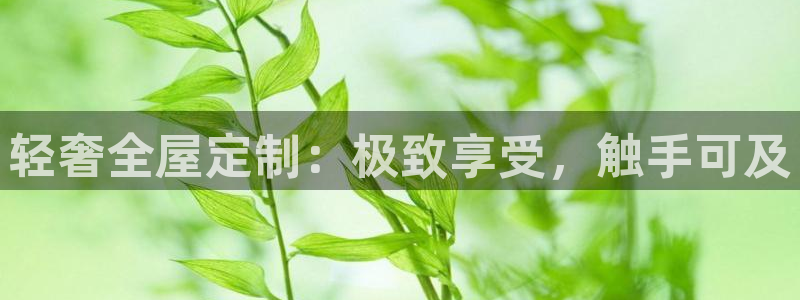 bb电子哪个平台好用点