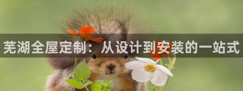 BB电子游戏钱得钱