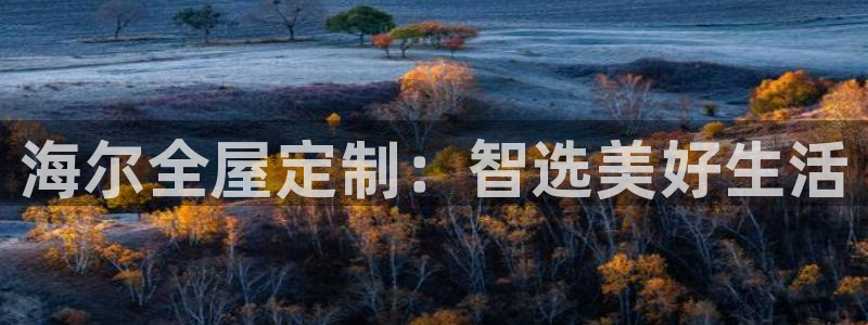 bb电子哪个平台好用点