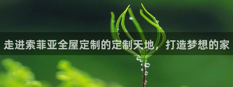 bb电子哪个平台好些