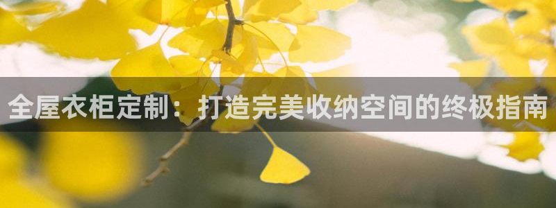 bb电子哪个平台好用