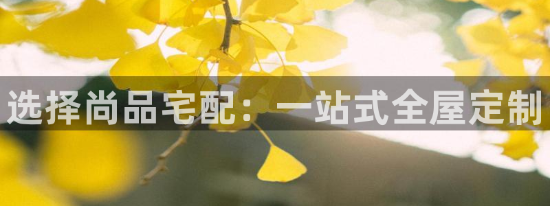 bb电子哪个平台好出款啊