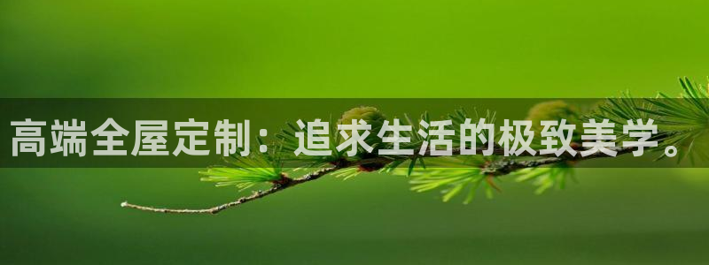 bb电子哪个平台好啊