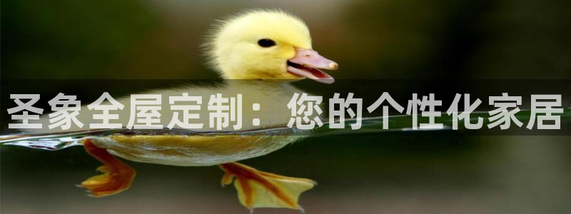 Bb电子琴和弦是哪个