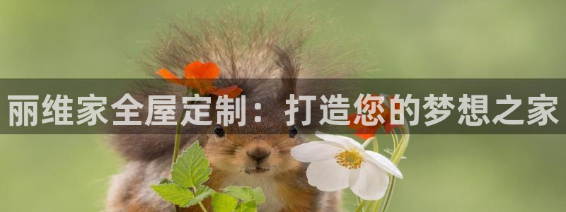 bb电子掉彩金