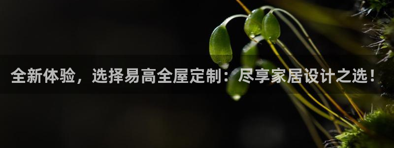 bb电子哪个平台好出款啊