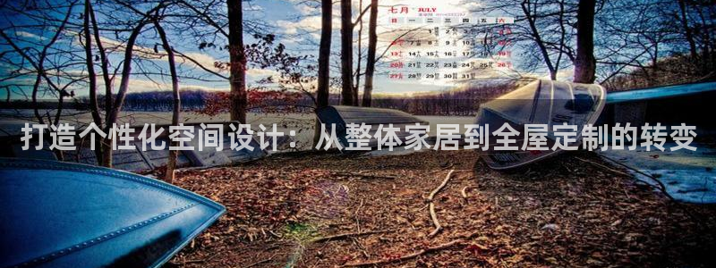 bb电子哪个平台好用一点