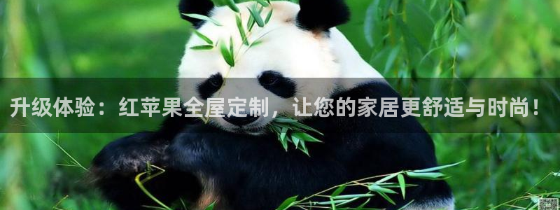 bb电子怎么英语怎么说