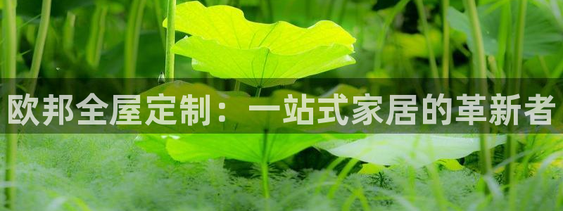 BB电子麻将胡了