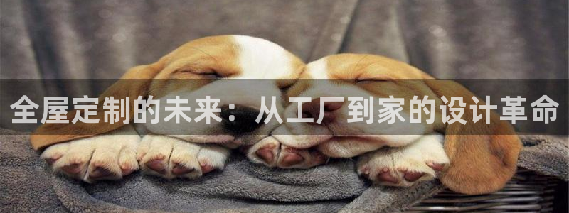 bb电子哪个平台好啊